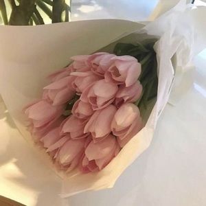 Meet your Posher, Lindsey